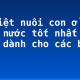 Mẹ Việt nuôi con ở ‘đất nước tốt nhất thế giới dành cho các bà mẹ’