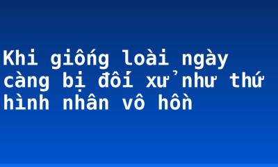 Khi giống loài ngày càng bị đối xử như thứ hình nhân vô hồn