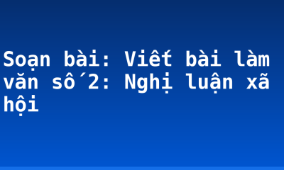 Soạn bài: Viết bài làm văn số 2: Nghị luận xã hội