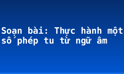 Soạn bài: Thực hành một số phép tu từ ngữ âm