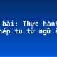 Soạn bài: Thực hành một số phép tu từ ngữ âm