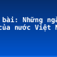 Soạn bài: Những ngày đầu của nước Việt Nam mới