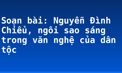 Soạn bài: Nguyễn Đình Chiểu, ngôi sao sáng trong văn nghệ của dân tộc