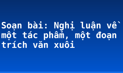 Soạn bài: Nghị luận về một tác phẩm, một đoạn trích văn xuôi