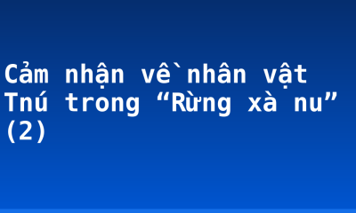 Cảm nhận về nhân vật Tnú trong “Rừng xà nu” (2)