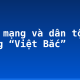 Cách mạng và dân tộc trong “Việt Bắc”