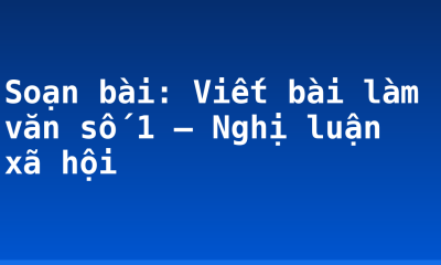 Soạn bài: Viết bài làm văn số 1 – Nghị luận xã hội