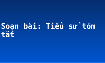 Soạn bài: Tiểu sử tóm tắt