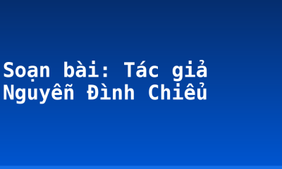 Soạn bài: Tác giả Nguyễn Đình Chiểu