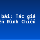 Soạn bài: Tác giả Nguyễn Đình Chiểu