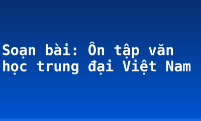 Soạn bài: Ôn tập văn học trung đại Việt Nam