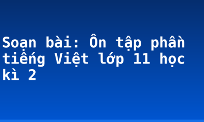 Soạn bài: Ôn tập phần tiếng Việt lớp 11 học kì 2