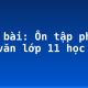 Soạn bài: Ôn tập phần làm văn lớp 11 học kì 2