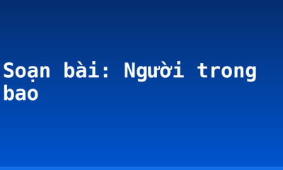 Soạn bài: Người trong bao