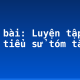 Soạn bài: Luyện tập viết tiểu sử tóm tắt