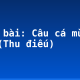 Soạn bài: Câu cá mùa thu (Thu điếu)