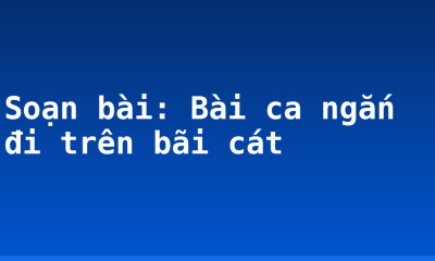 Soạn bài: Bài ca ngắn đi trên bãi cát