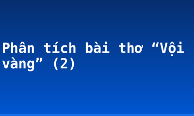 Phân tích bài thơ “Vội vàng” (2)