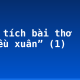 Phân tích bài thơ “Chiều xuân” (1)