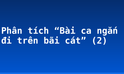 Phân tích “Bài ca ngắn đi trên bãi cát” (2)