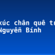 Cảm xúc chân quê trong thơ Nguyễn Bính