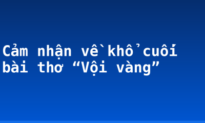 Cảm nhận về khổ cuối bài thơ “Vội vàng”