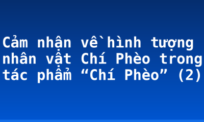 Cảm nhận về hình tượng nhân vật Chí Phèo trong tác phẩm “Chí Phèo” (2)