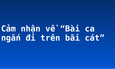 Cảm nhận về “Bài ca ngắn đi trên bãi cát”