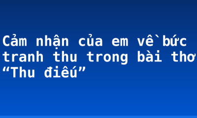 Cảm nhận của em về bức tranh thu trong bài thơ “Thu điếu”
