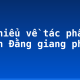 Tìm hiểu về tác phẩm “Bạch Đằng giang phú”