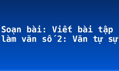 Soạn bài: Viết bài tập làm văn số 2: Văn tự sự
