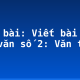 Soạn bài: Viết bài tập làm văn số 2: Văn tự sự