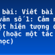 Soạn bài: Viết bài tập làm văn số 1: Cảm nghĩ về một hiện tượng đời sống (hoặc một tác phẩm văn học)