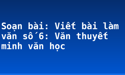 Soạn bài: Viết bài làm văn số 6: Văn thuyết minh văn học