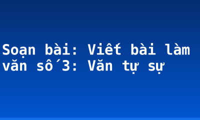 Soạn bài: Viết bài làm văn số 3: Văn tự sự