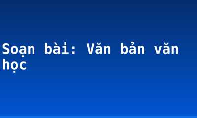 Soạn bài: Văn bản văn học