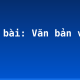 Soạn bài: Văn bản văn học