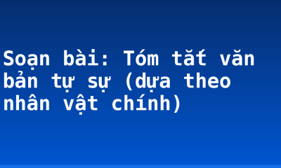 Soạn bài: Tóm tắt văn bản tự sự (dựa theo nhân vật chính)