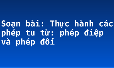 Soạn bài: Thực hành các phép tu từ: phép điệp và phép đối