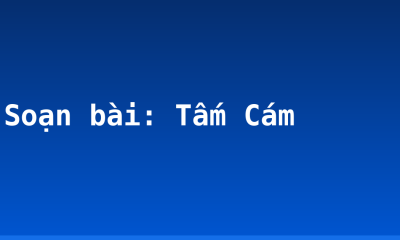 Soạn bài: Tấm Cám