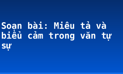 Soạn bài: Miêu tả và biểu cảm trong văn tự sự
