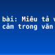 Soạn bài: Miêu tả và biểu cảm trong văn tự sự