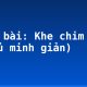 Soạn bài: Khe chim kêu (Điểu minh giản)