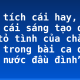 Phân tích cái hay, cái đẹp, cái sáng tạo qua lời tỏ tình của chàng trai trong bài ca dao “Tát nước đầu đình”