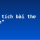 Phân tích bài thơ “Nhàn”