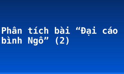 Phân tích bài “Đại cáo bình Ngô” (2)