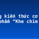 Những kiến thức cơ bàn tác phẩm “Khe chim kêu”