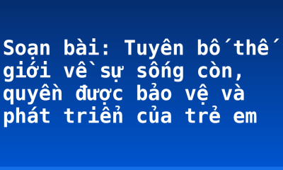 Soạn bài: Tuyên bố thế giới về sự sống còn, quyền được bảo vệ và phát triển của trẻ em