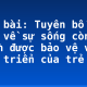 Soạn bài: Tuyên bố thế giới về sự sống còn, quyền được bảo vệ và phát triển của trẻ em