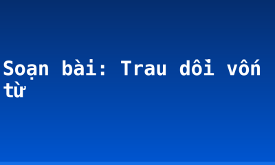 Soạn bài: Trau dồi vốn từ